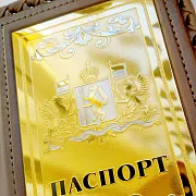 Обложка на паспорт из кожи «Герб Свердловской области» — оригинальный подарок — фотография 3